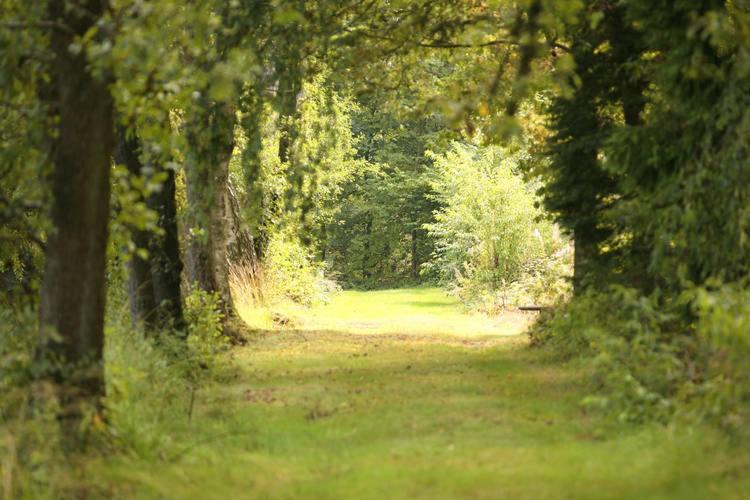 La Maison Du Lac Cul-des-Sarts Bagian luar foto