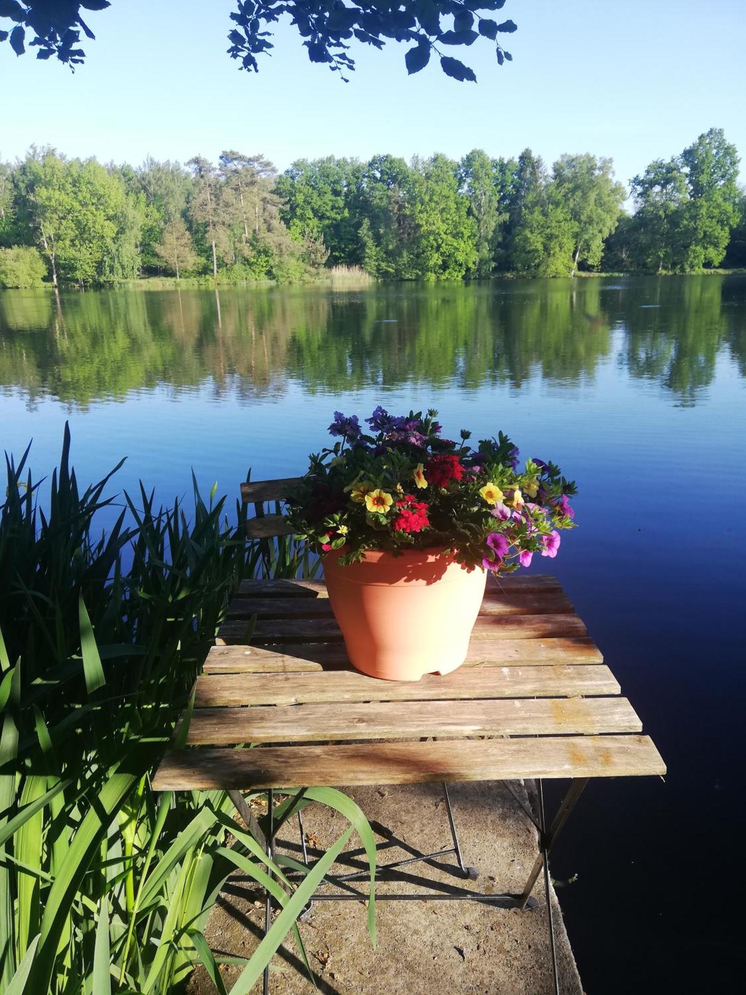 La Maison Du Lac Cul-des-Sarts Bagian luar foto